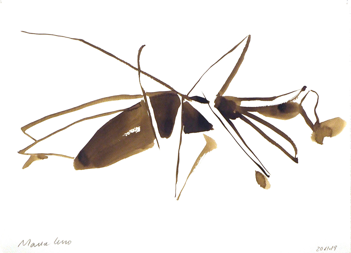 Maria Lino, Insekt (2)
