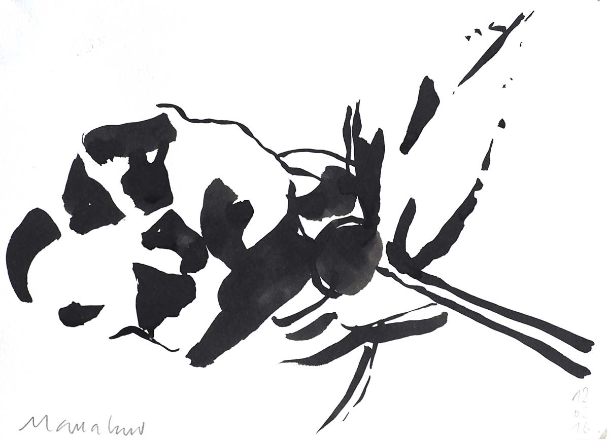 Maria Lino, Blüte (1)