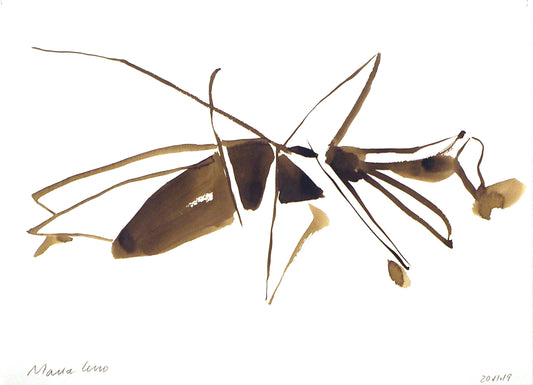 Maria Lino, Insekt, Aquarell